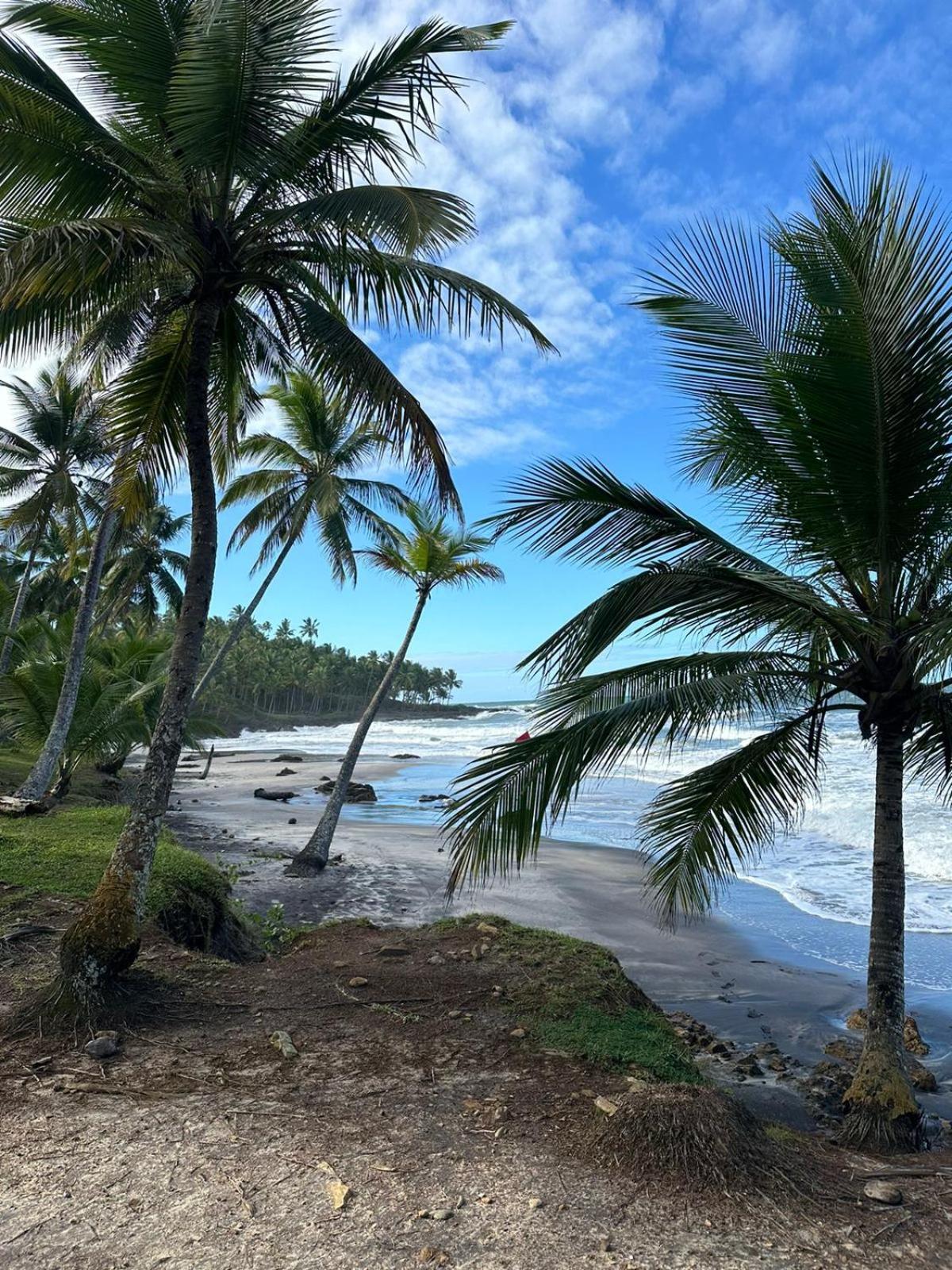 Alecrim Hostel E Pousada Velha Boipeba Esterno foto
