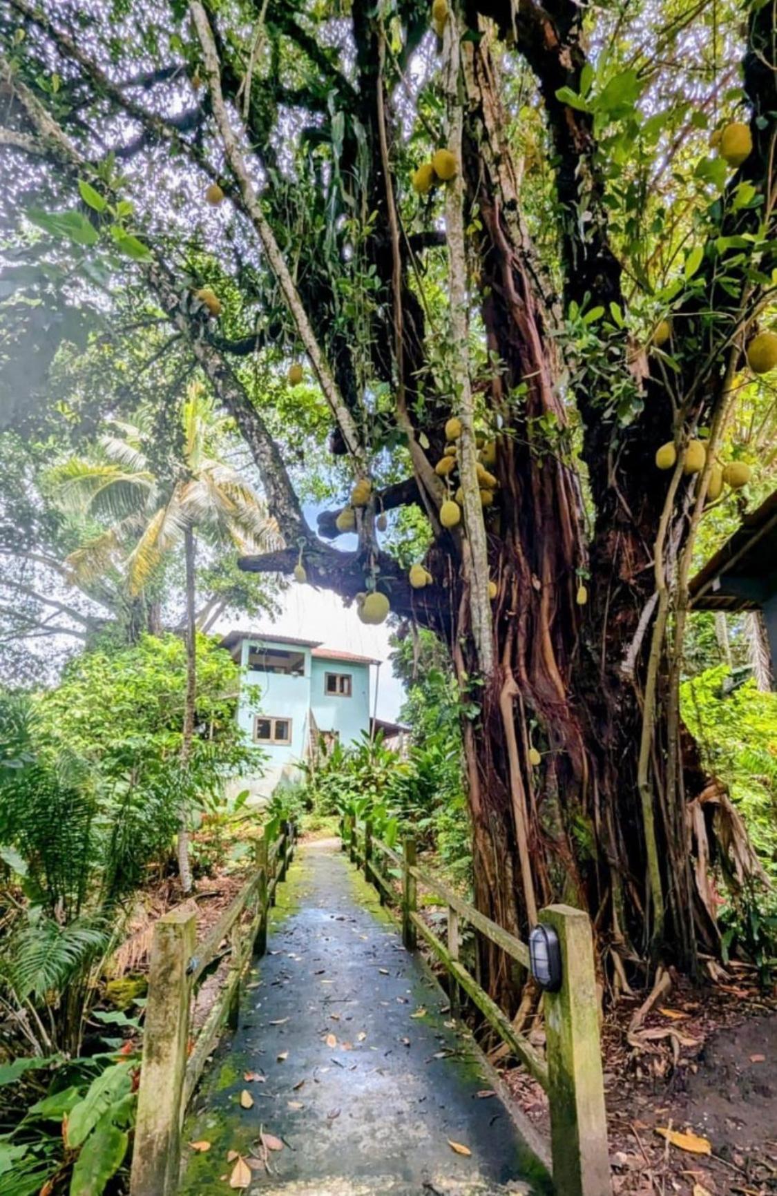 Alecrim Hostel E Pousada Velha Boipeba Esterno foto